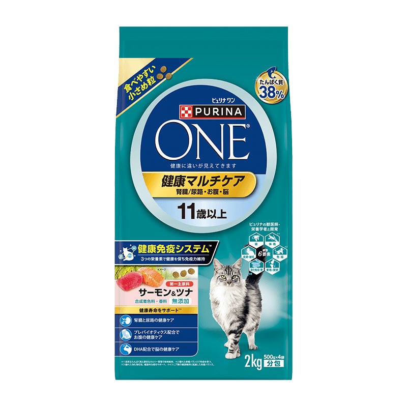 JP_jp_PU_ONE_Cat_Senior S&T